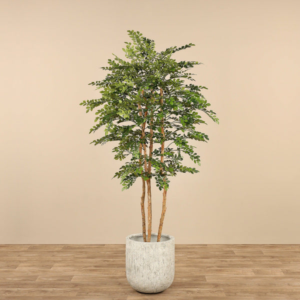 Artificial Acacia Tree - Bloomr