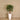 Trees-Artificial Aralia Tree <br> 100cm-Bloomr