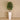 Trees-Artificial Aralia Tree <br> 150cm-Bloomr