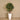 Trees-Artificial Aralia Tree 120cm-Bloomr