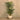 Trees-Artificial Areca Palm <br> 190cm-Bloomr