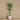 Trees-Artificial Areca Palm <br> 225cm-Bloomr