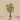 Trees-Artificial Areca Palm Tree <br> 180cm-Bloomr