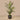 Trees-Artificial Areca Palm Tree <br> 160cm-Bloomr