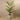 Trees-Artificial Areca Palm Tree <br> 160cm-Bloomr