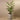 Trees-Artificial Areca Palm Tree <br> 160cm-Bloomr