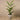 Trees-Artificial Areca Palm Tree <br> 160cm-Bloomr