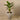 Trees-Artificial Banana Tree <br> 125cm-Bloomr