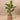 Trees-Artificial Banana Tree 125cm-Bloomr