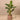 Trees-Artificial Banana Tree <br> 125cm-Bloomr