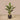 Trees-Artificial Banana Tree <br> 125cm-Bloomr