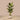 Trees-Artificial Banana Tree 180cm-Bloomr