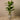 Trees-Artificial Banana Tree 180cm-Bloomr