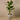 Trees-Artificial Banana Tree 180cm-Bloomr