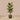 Trees-Artificial Banana Tree 180cm-Bloomr