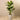 Trees-Artificial Banana Tree 180cm-Bloomr