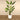 Trees-Artificial Banana Tree 240cm-Bloomr