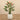 Trees-Artificial Bird of Paradise 150cm-Bloomr