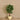 Trees-Artificial Clusia Tree <br> 120cm-Bloomr