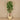 Trees-Artificial Clusia Tree <br> 180cm-Bloomr