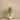Trees-Artificial Draecena Tree 120cm-Bloomr