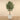 Trees-Artificial Draecena Reflexa 210cm-Bloomr