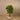 Trees-Artificial Draecena Reflexa 120cm-Bloomr