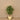 Trees-Artificial Draecena Tree <br> 120cm-Bloomr