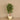 Trees-Artificial Draecena Tree 150cm-Bloomr
