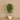 Trees-Artificial Draecena Tree <br> 150cm-Bloomr