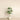 Trees-Artificial Draecena Tree 150cm-Bloomr