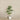 Trees-Artificial Draecena Tree 180cm-Bloomr