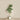 Trees-Artificial Draecena Tree 210cm-Bloomr