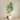 Trees-Artificial Draecena Tree 240cm-Bloomr