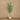 Trees-Artificial Eucalyptus Tree 220cm-Bloomr