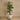 Trees-Artificial Fan Palm <br> 210cm-Bloomr