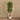 Trees-Artificial Ficus Benjamin Tree 300cm-Bloomr
