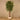 Trees-Artificial Ficus Retusa Tree 210cm-Bloomr