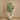 Trees-Artificial Ficus Tree <br> 250cm Discontinued-Bloomr