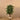Trees-Artificial Ficus Benjamin Tree 150cm-Bloomr