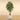 Trees-Artificial Ficus Tree <br> 210cm-Bloomr