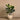 Trees-Artificial Fiddle Tree 90cm-Bloomr