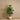 Trees-Artificial Fiddle Tree <br> 150cm-Bloomr