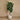 Trees-Artificial Fiddle Tree <br> 240cm-Bloomr