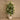 Trees-Artificial Fiddle Tree 180cm-Bloomr