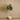 Trees-Artificial Fiddle Tree 150cm-Bloomr