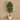 Trees-Artificial Hibiscus Tree <br> 180cm-Bloomr