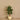 Trees-Artificial Hibiscus Tree <br> 120cm-Bloomr