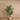 Trees-Artificial Kentia Palm <br> 180cm (Discontinued)-Bloomr