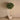 Trees-Artificial Laurel Tree <br> 150cm-Bloomr